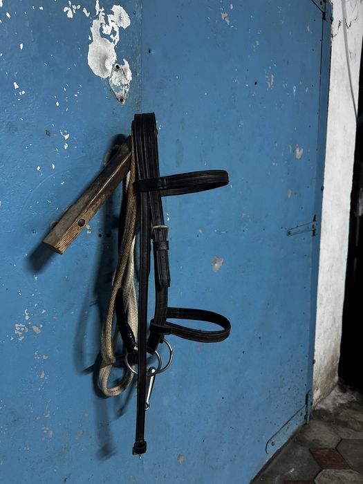 Вадим жуген-30мын.      Мартингал кожный новый-20мын саудасы бар