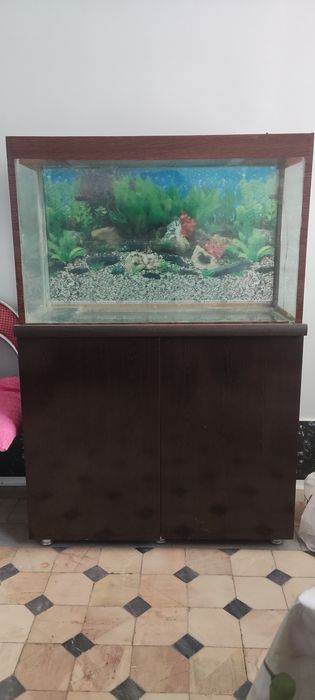 Akvarium sotiladi 185 L.