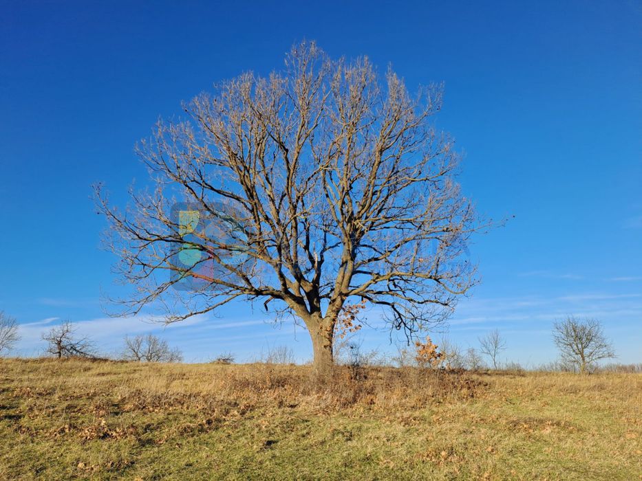 Продава се Земеделски имот в с. Велика, Област Бургас -  кв.м за 4875 €/дка - Снимка #1