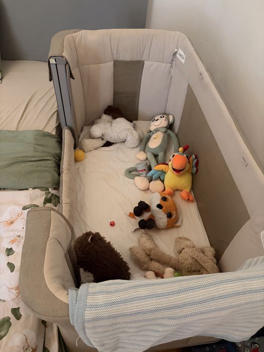 Patut Chicco co-sleeping