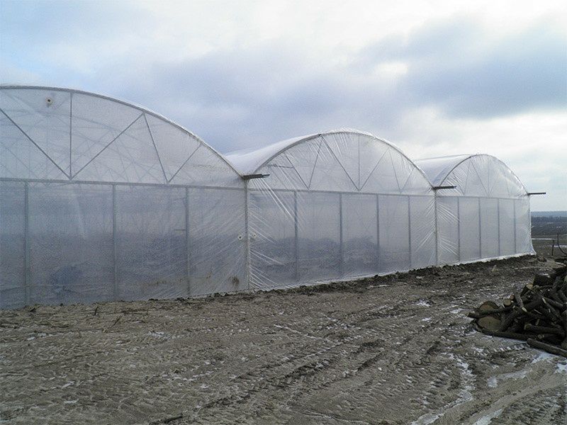 ТЕПЛИЦА по доступной цене акция