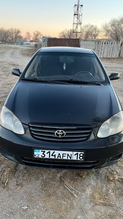 Продам короллу американца.