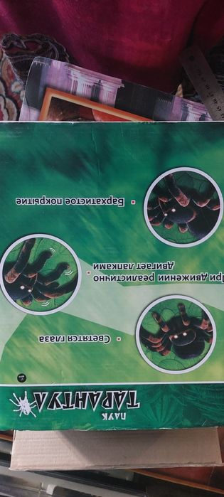 Паук на пульте управления