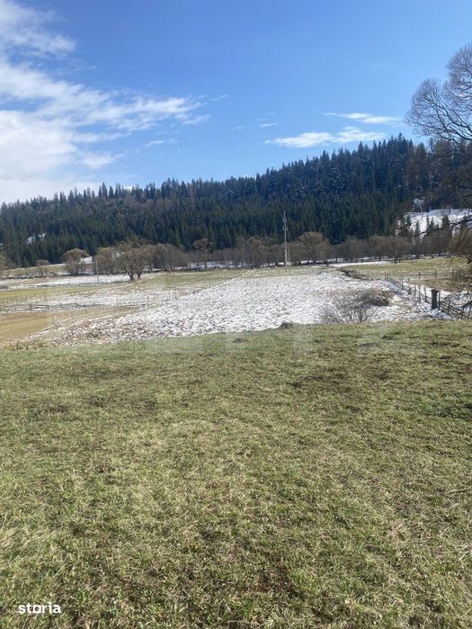 Teren intravilan de vanzare, 12.500 mp, zona Vatra Dornei, Podul Cosne