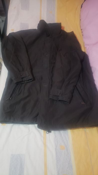 Haina barbati pierre cardin