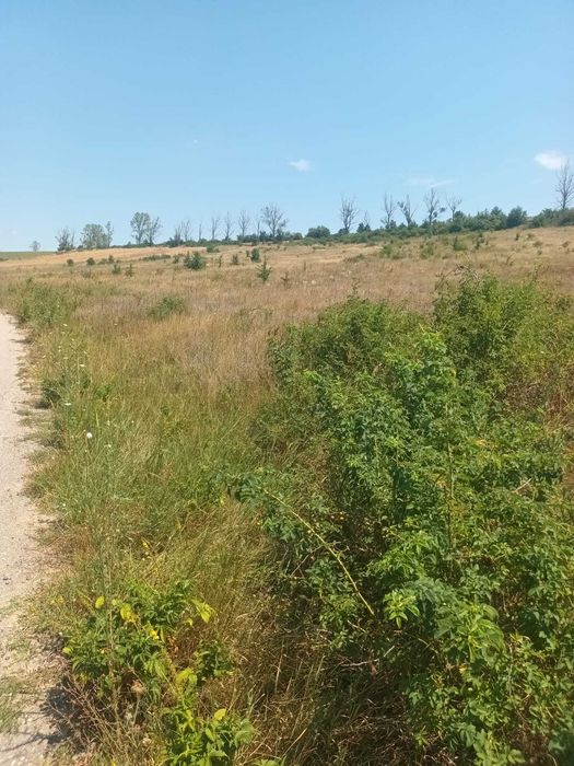 Teren intravilan +extravilan in continuarea lui