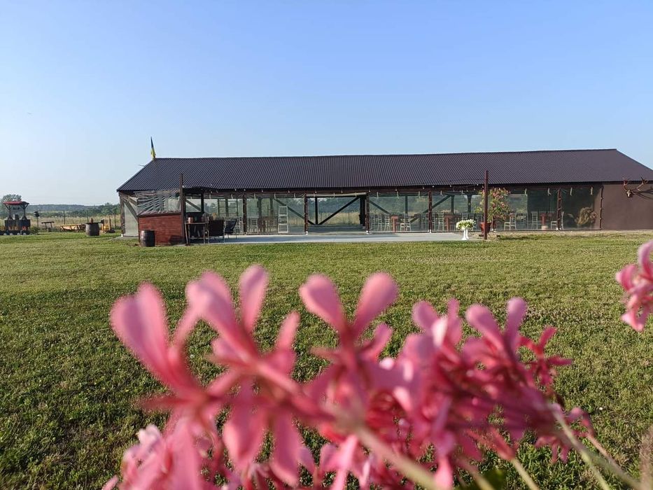 M Garden Nature: Locația Perfectă pentru Evenimente Unice