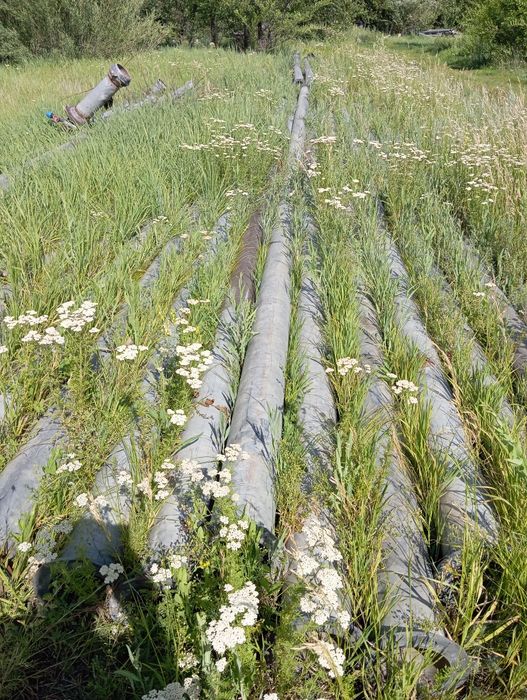 Трубы для орошения