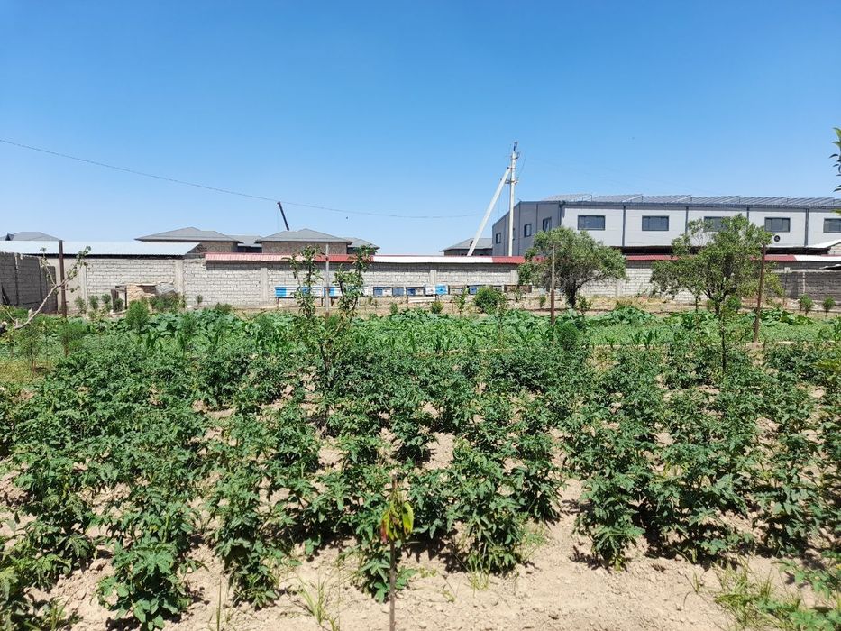 Земляной участок