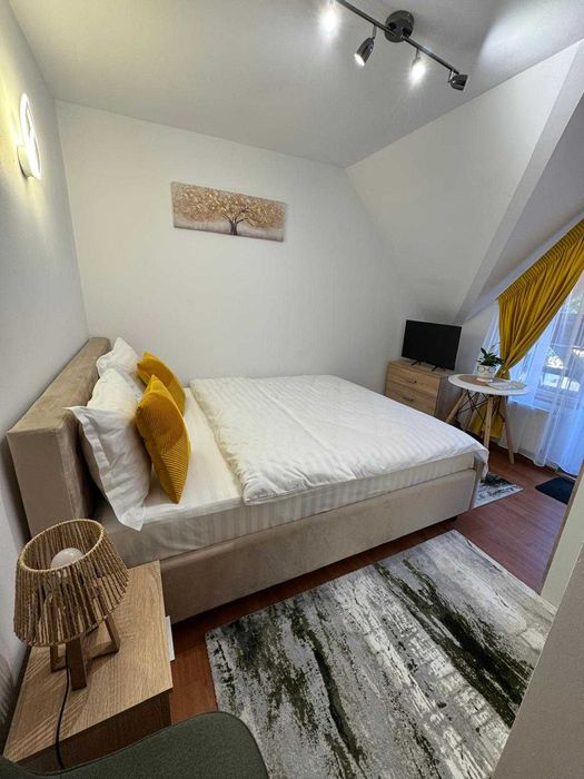 Vand Vilă turistică -  Brasov- Dâmbu Morii -Turism sau locuinta