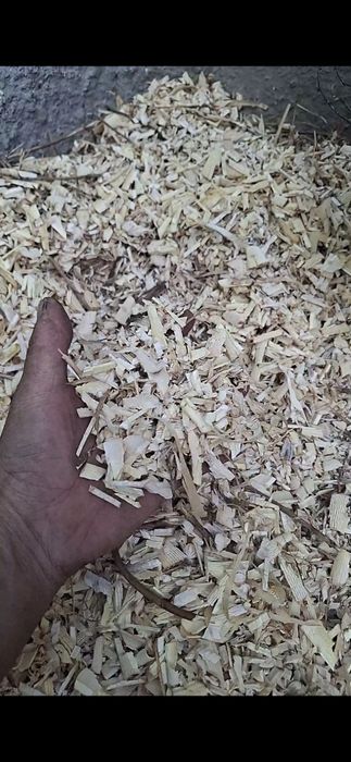 Продам опилки в мешках