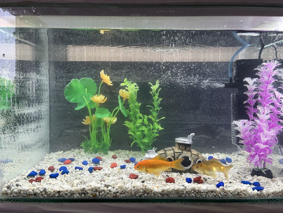 Продам готовый аквариум 45л, всё в комплекте