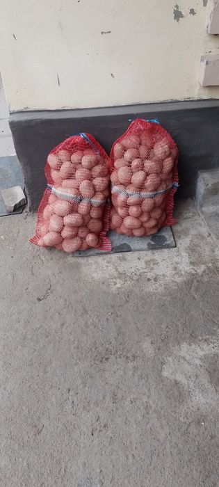 Cartofi rosii si albi