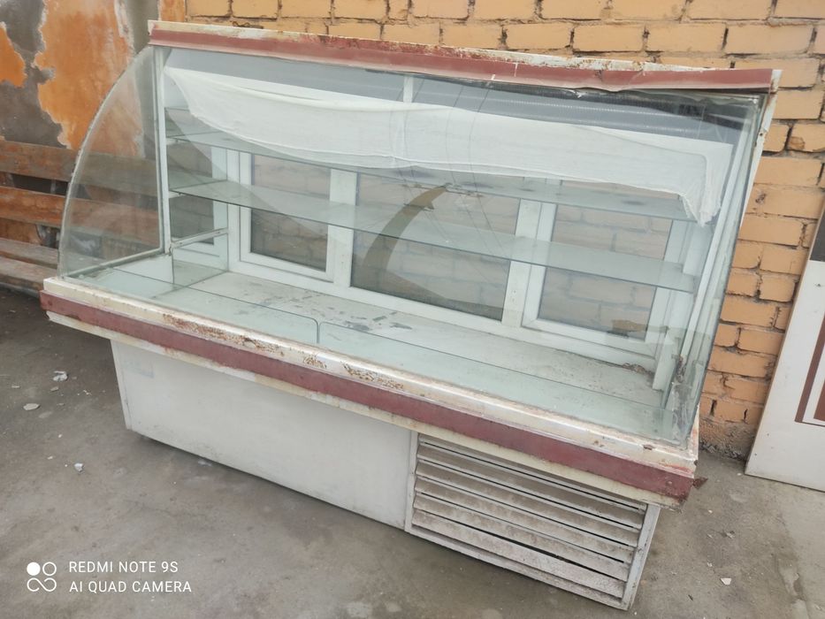 Veterinar Xolodelnik