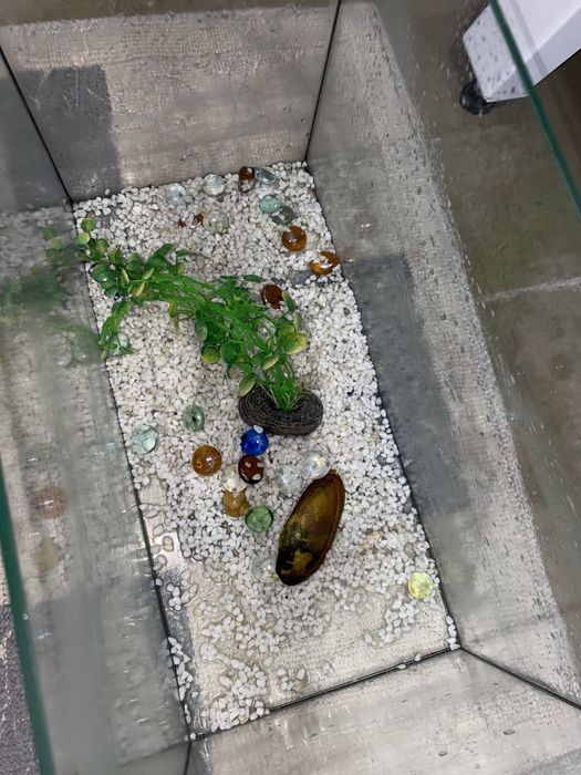 Продам аквариум