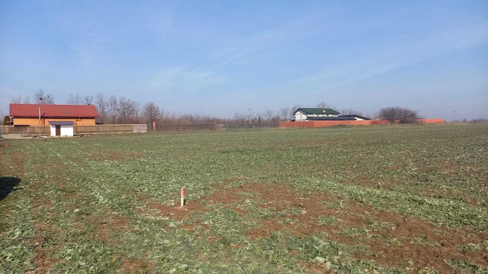 Teren Darvari-Tamadau Mare