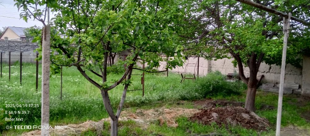 Yer uchastkasi sotiladi 6 sutx dakument bor