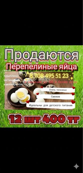 Перепелиные яйца, свежие, домашние.