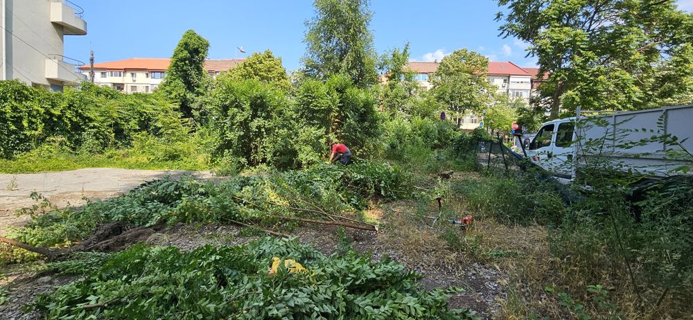 Închiriere tocator crengi