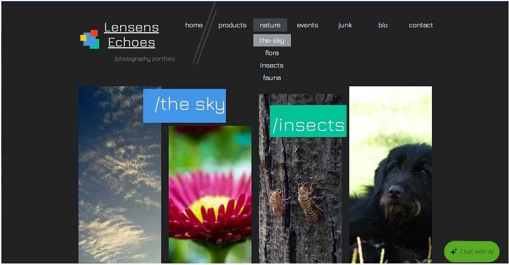 Design website-uri in Wix, logo si bannere, editare fotografii