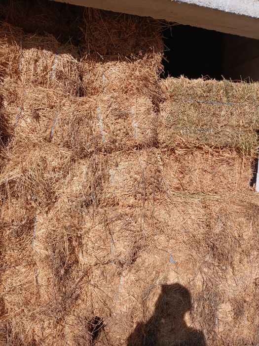 Baloti de otavă și lucernă