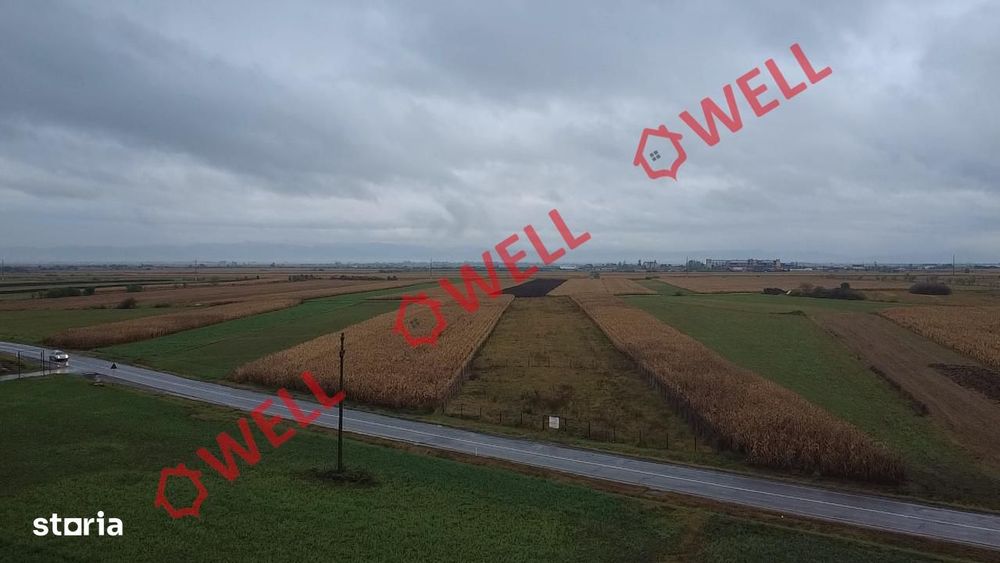 Teren extravilan de vânzare în Covasna!