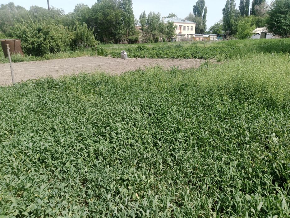 Үй сатылады. Продам дом