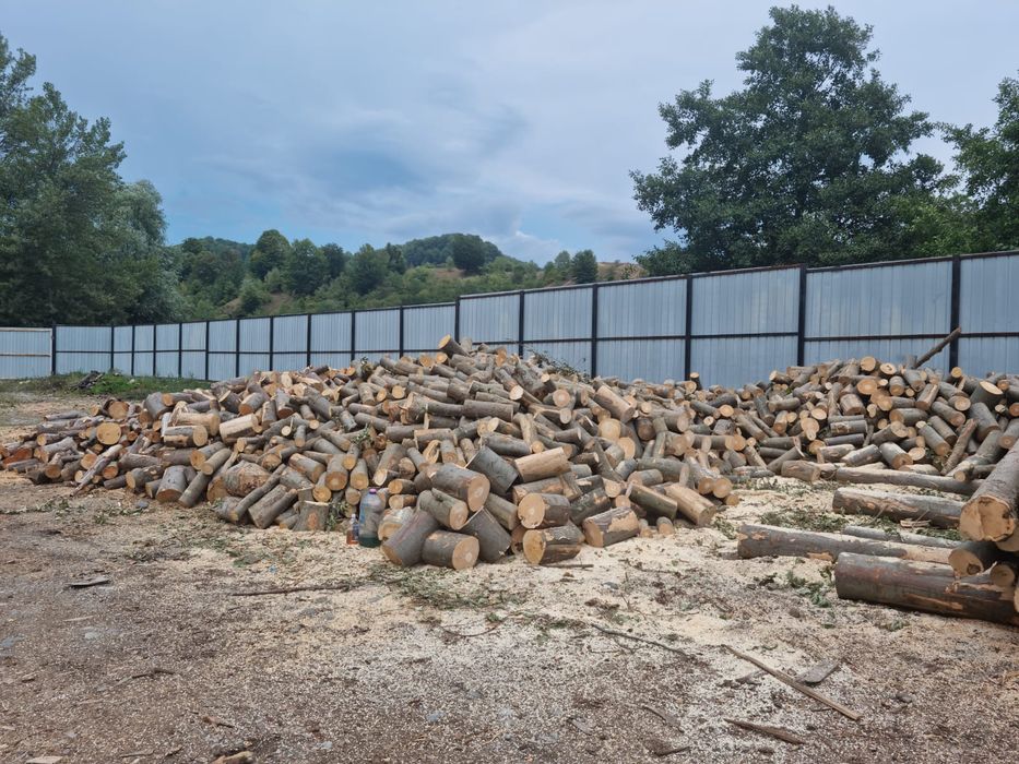 Vand lemn foc de fag