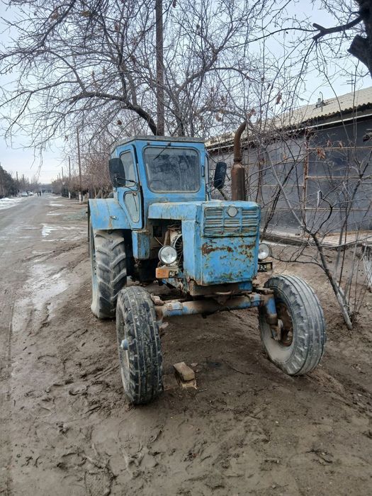 Yangibozor chubolonchi