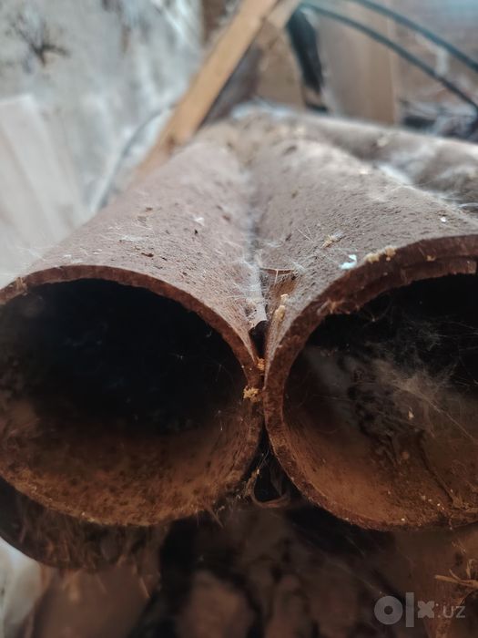 Turba rasiyskiy 3.50