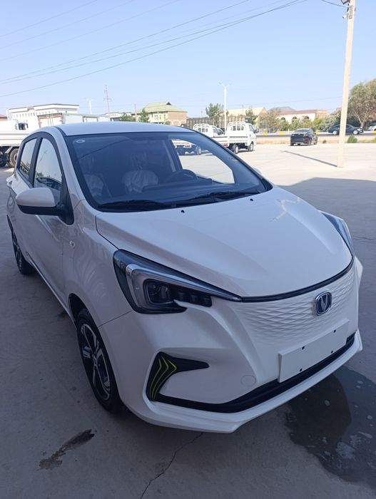 Чанган бен бен сотилади