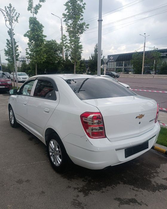 Other Cobalt 2024 — 2