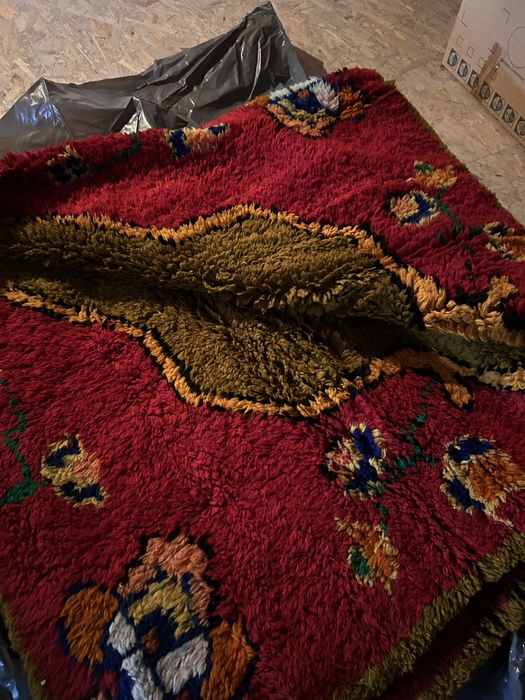 Вълнен китеник