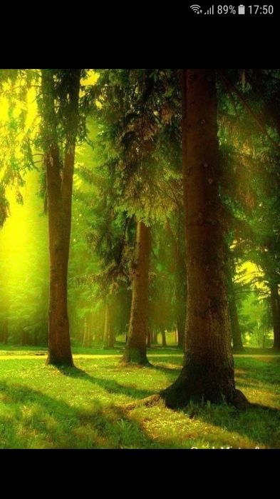 Terapii manuale  la malul mării !