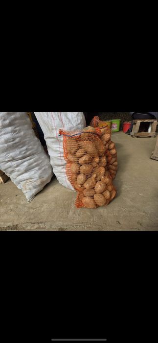 Cartofi de consum producător