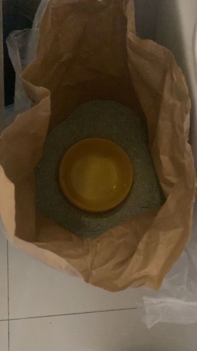 Кошка мальчик 4месяца