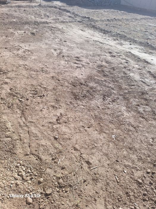 Joy plon sotlad manzl xiyva yo'l versal to'yxona orti