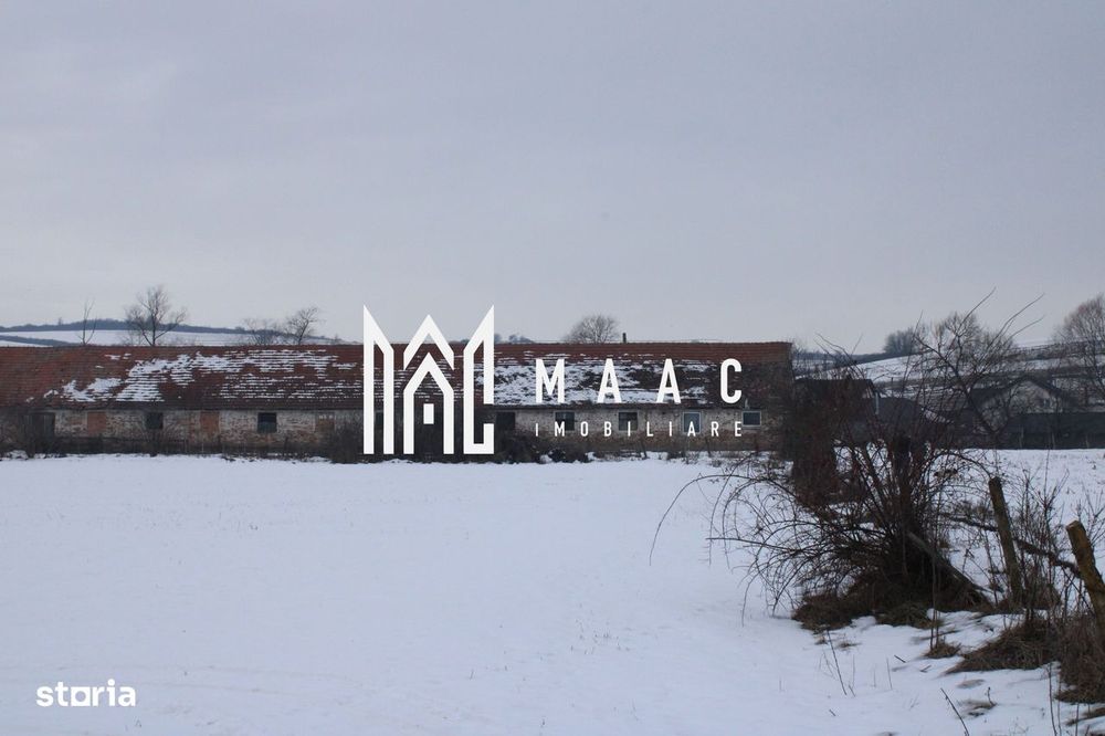 Teren 8000 mp I Intravilan I Utilitati I Vurpar