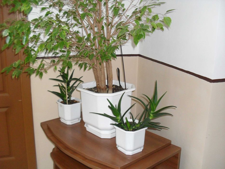 фотоапарат SAMSUNG ES10 8.1 MpX