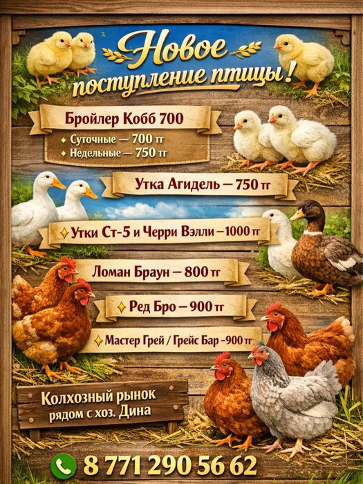 Продам цыплят утят гусей