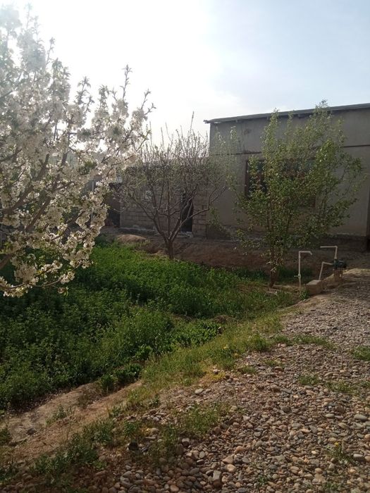 Педколеж истиклол туйхонани оркаси