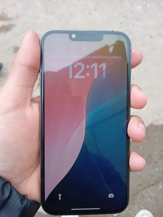 Model: Iphone 13 pro