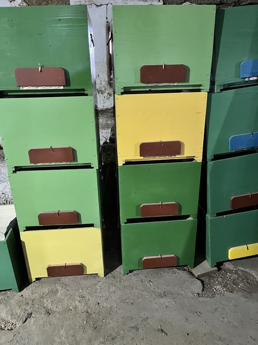 Vand stupi pe 12 rame