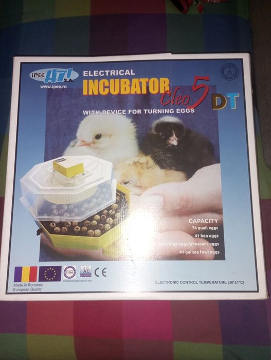 Vând incubator Cleo 5