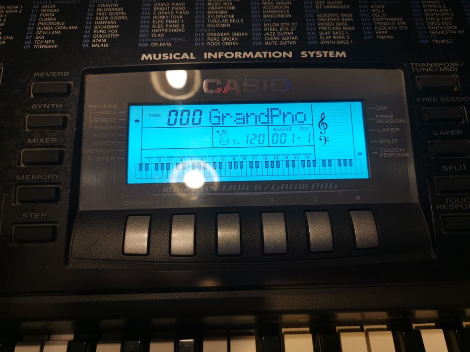 Vand orga Casio WK 1300