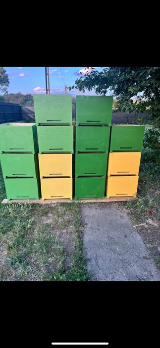 Vand stupi pe 12 rame