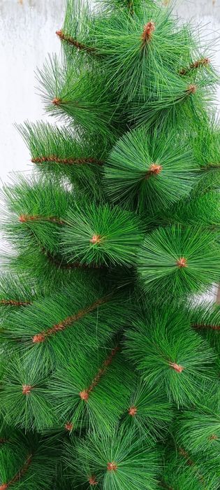 Новогодняя ёлка высокая