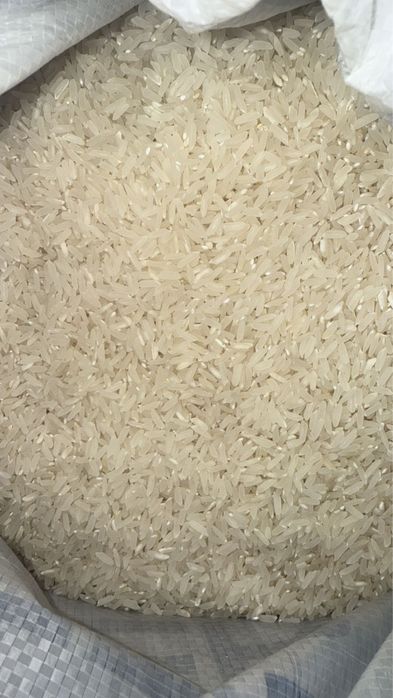 Узбекский рис лазер с собсвеного поля