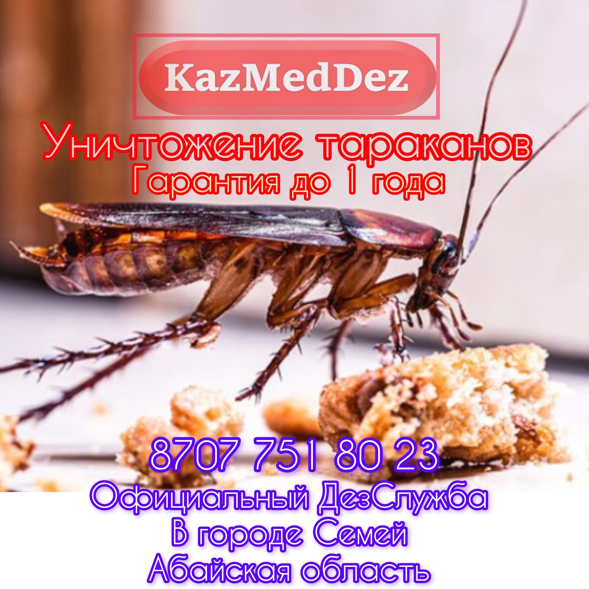 Уничтожение клопов! Қандала Жою ! Уничтожение клопов !Дезинфекция дома -  Дезинфекция помещений Семей на Olx