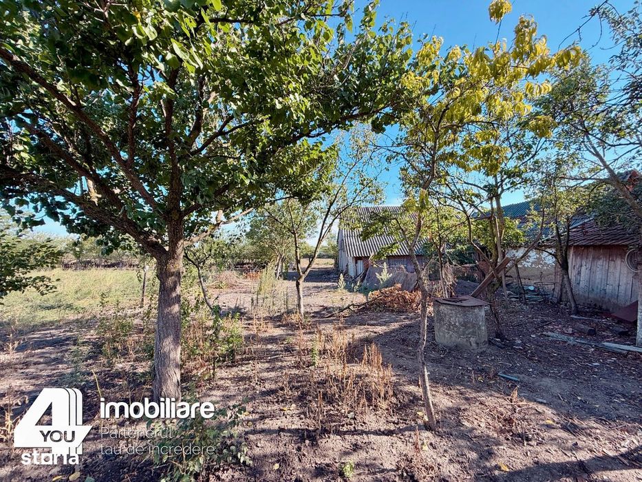 Proprietate în Țipari,formată din casă cu anexe+teren intravilan2880mp